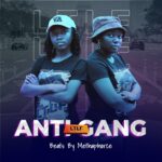 Anti-Gang cover artwork